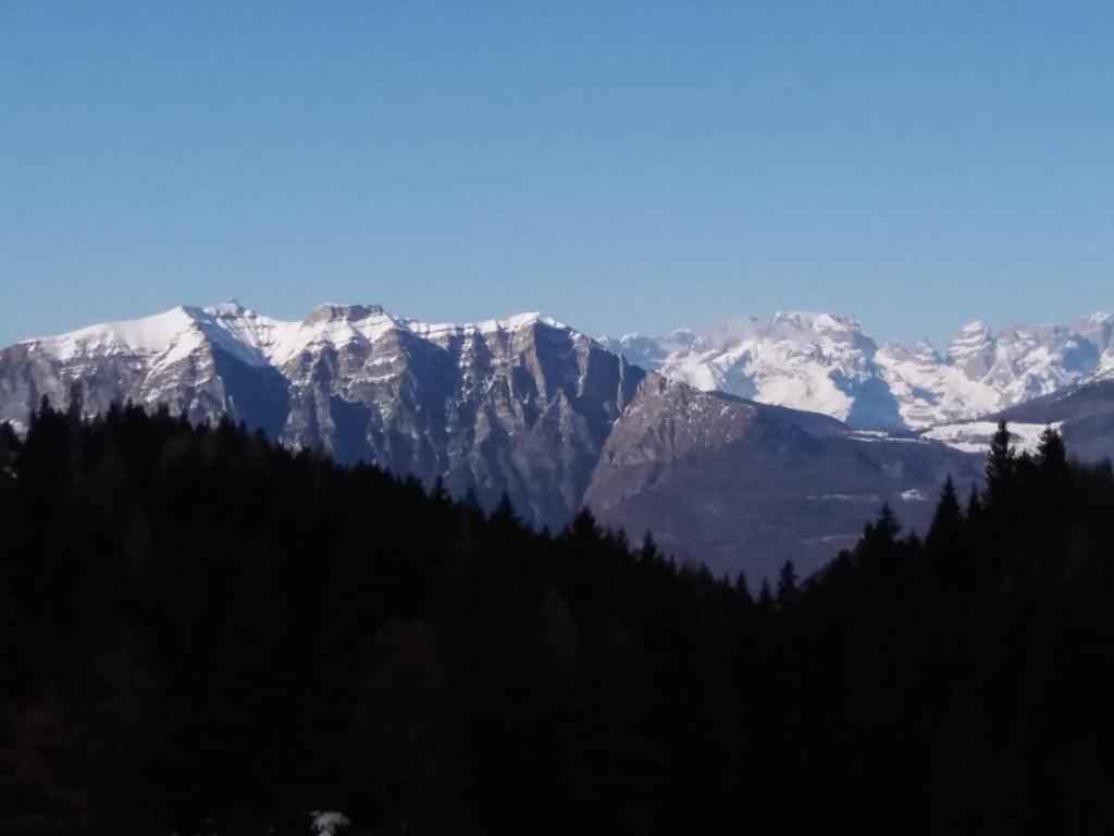 Príroda v okolí dovolenkového domu
