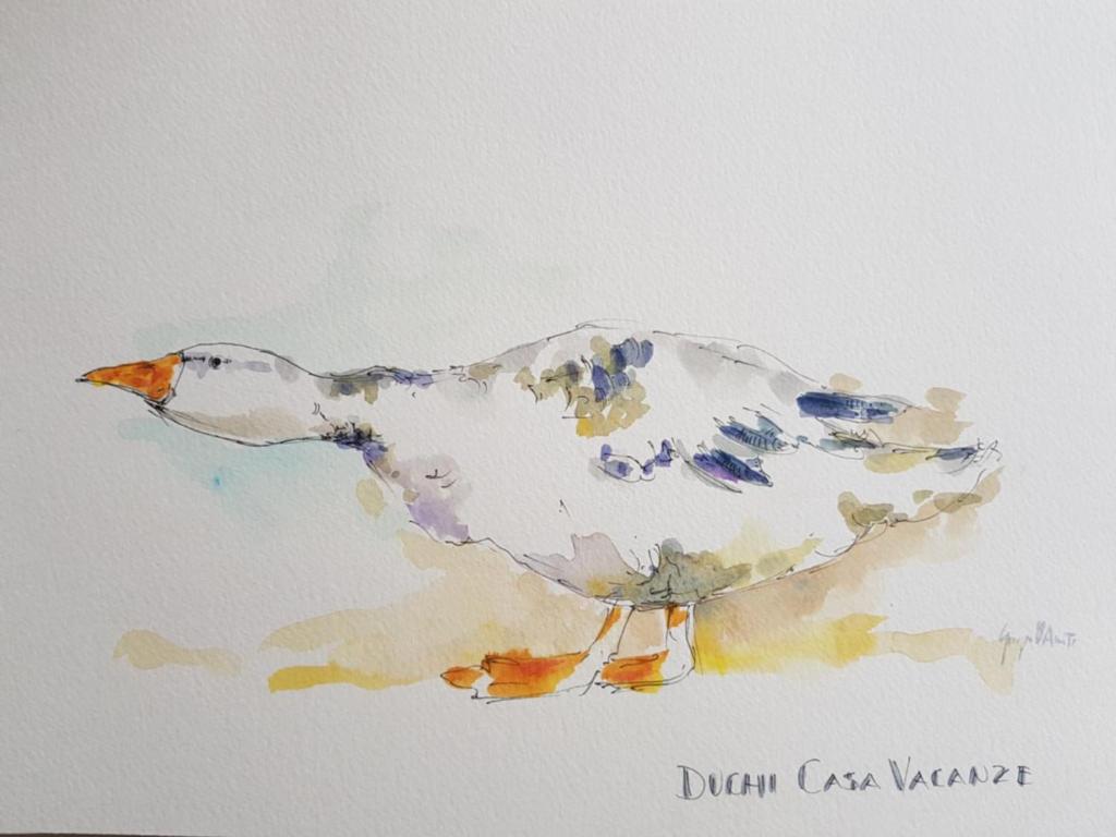 a painting of a bird on a white background at Duchi in Palermo