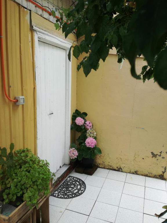 Vrt pred nastanitvijo Hostal Mi Paz