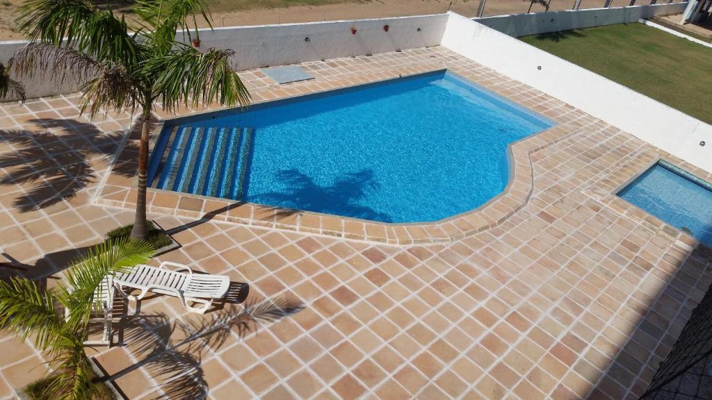 - une vue sur la piscine bordée d'un palmier dans l'établissement Apto Confortável em Frente às Dunas Do Atalaia, à Salinópolis