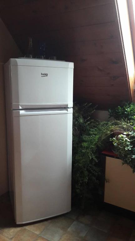 Kuchyň nebo kuchyňský kout v ubytování Agave Apartman