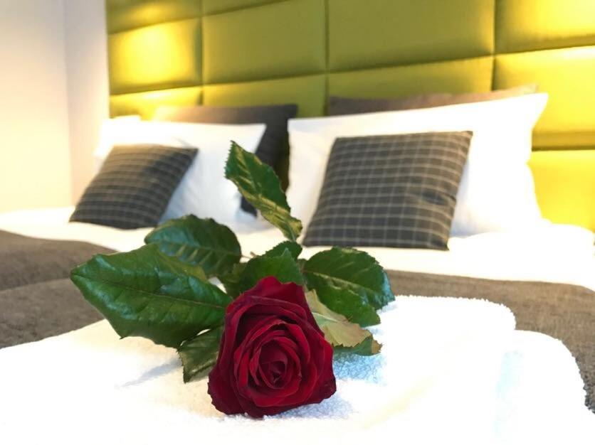 a red rose sitting on top of a bed at Premium Apartment - Chopin AirPort in Warsaw