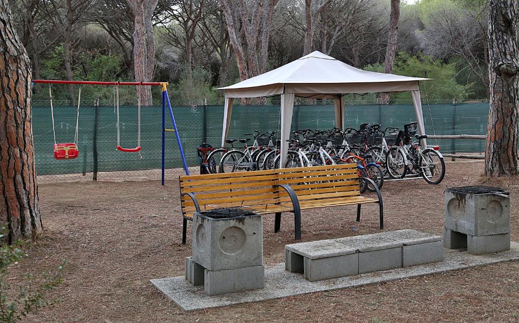 Jízda na kole v ubytování Camping Eden nebo okolí