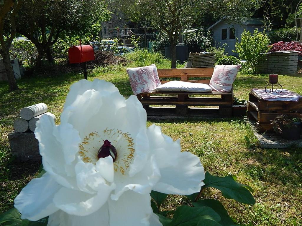 Zahrada ubytování B&B Piè del Castello