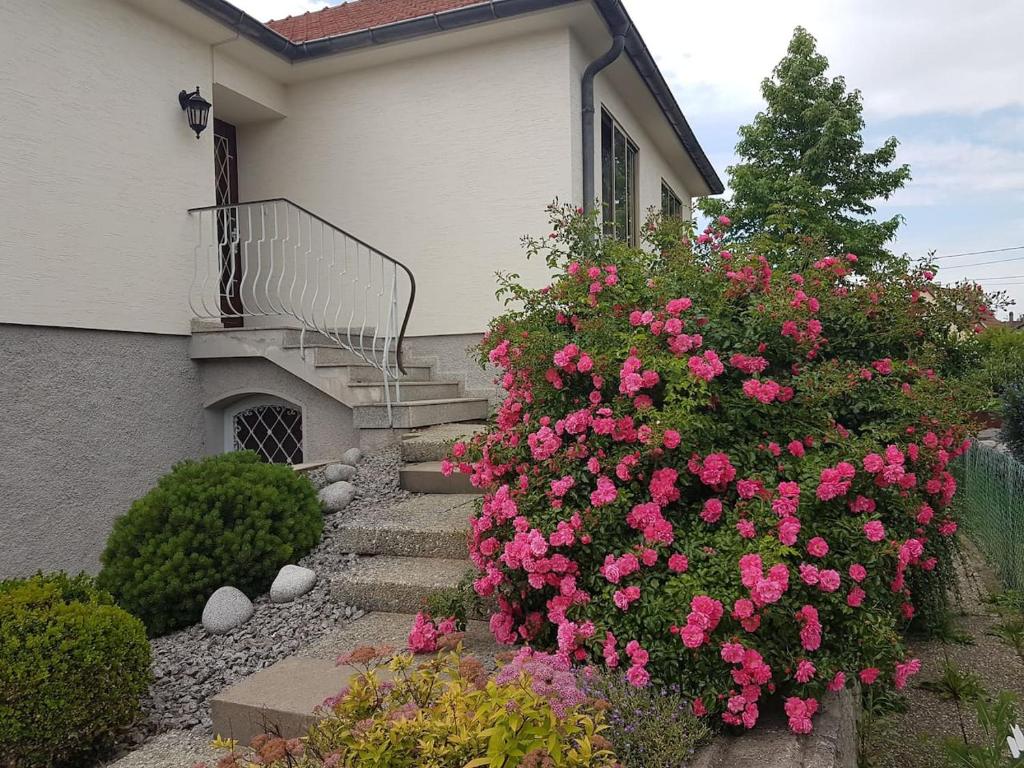a bush of pink roses in front of a house at Very nice cosy new appart in Ostwald