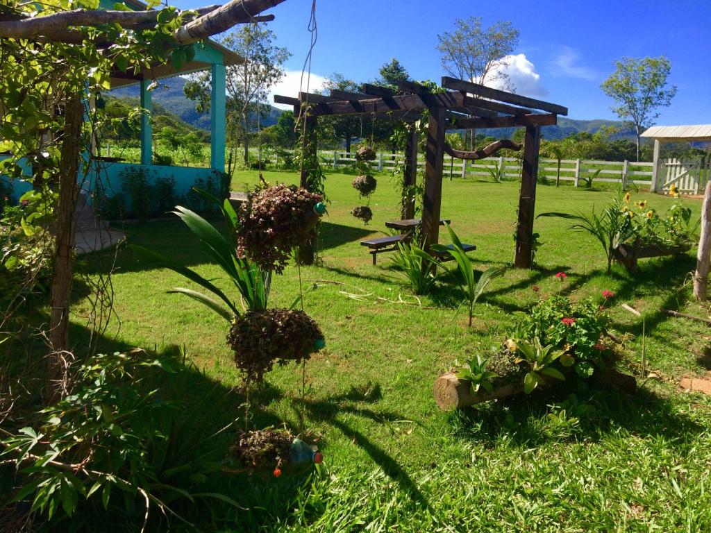 a garden with a pergola and some plants at Casa Temporada na Chácara in Cavalcante