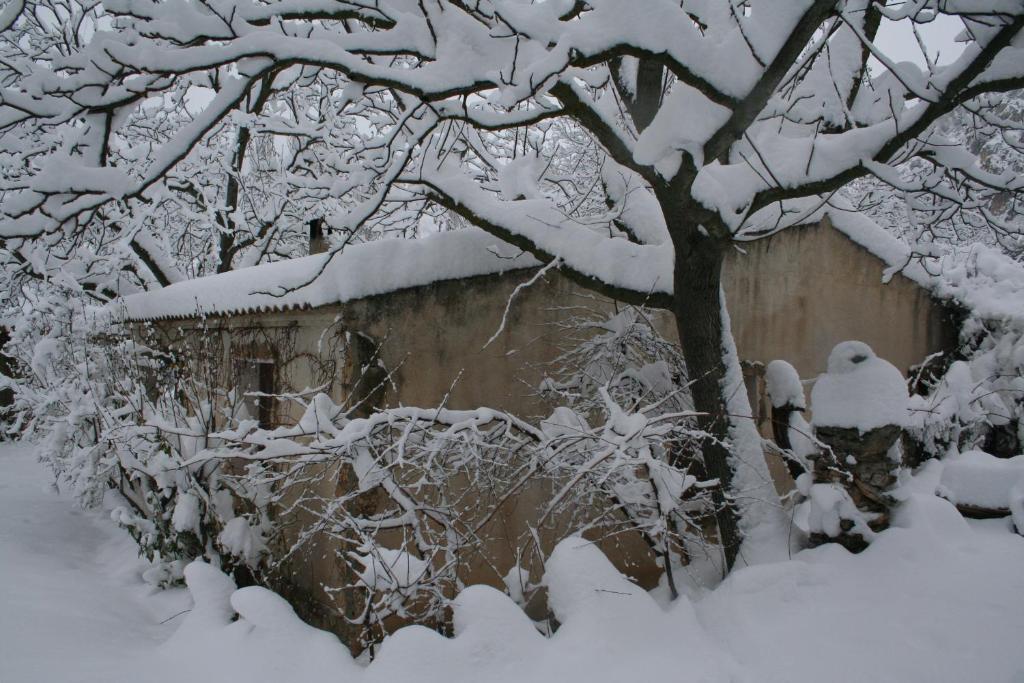 Casas Rurales Los Enebros Nerpio during the winter