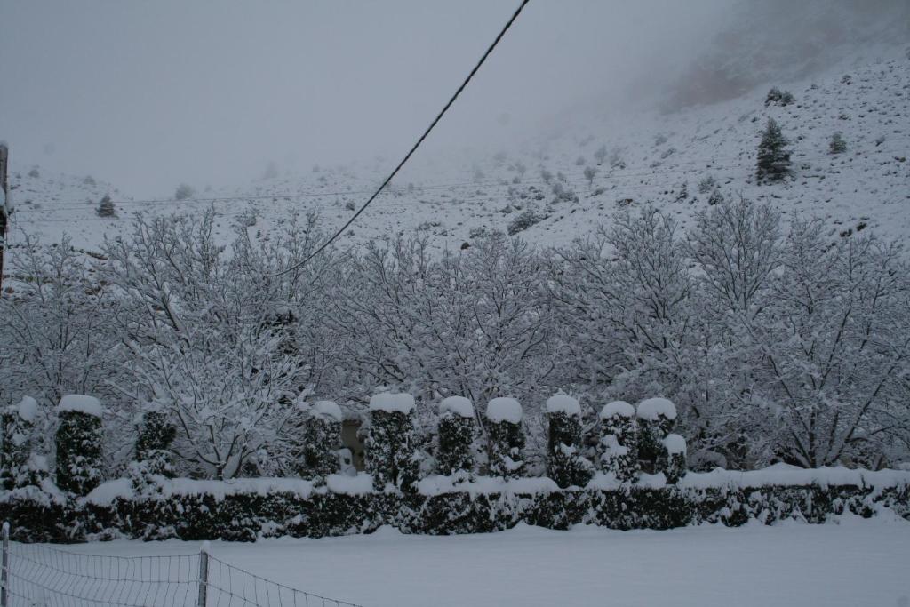Casas Rurales Los Enebros Nerpio during the winter