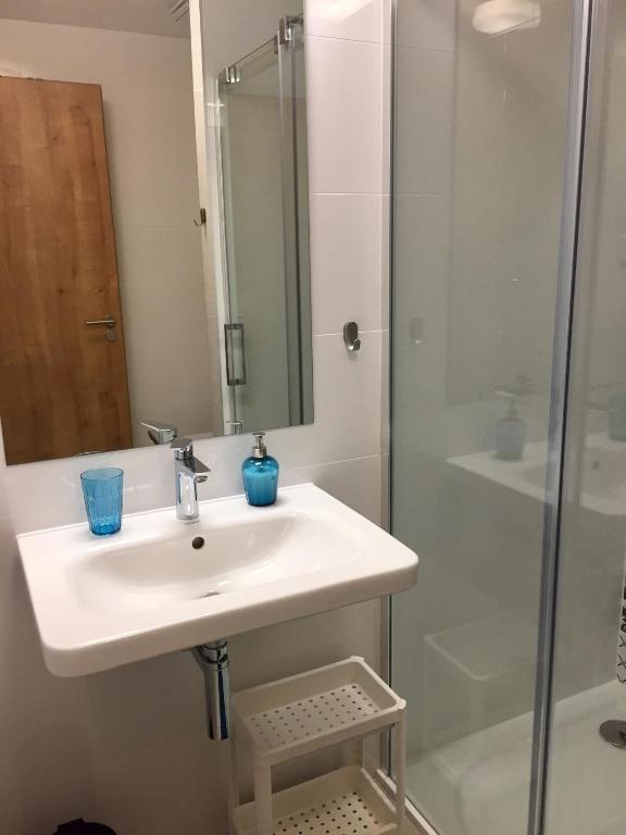 Koupelna v ubytování Modrý Apartmán