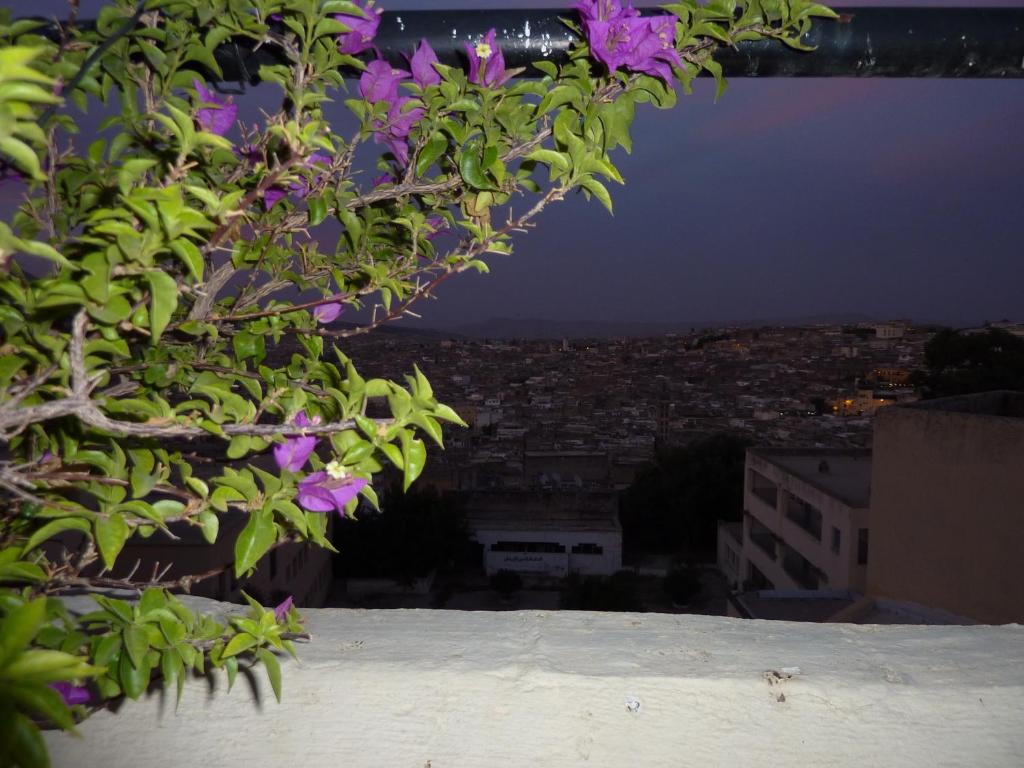 Fotografie z fotogalerie ubytování Dar Al Safadi v destinaci Fès