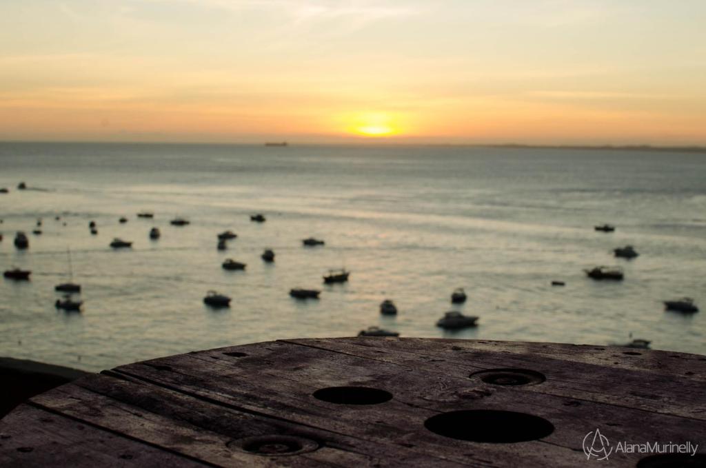 um grupo de patos a nadar no oceano ao pôr-do-sol em Casa Relaxar em Salvador