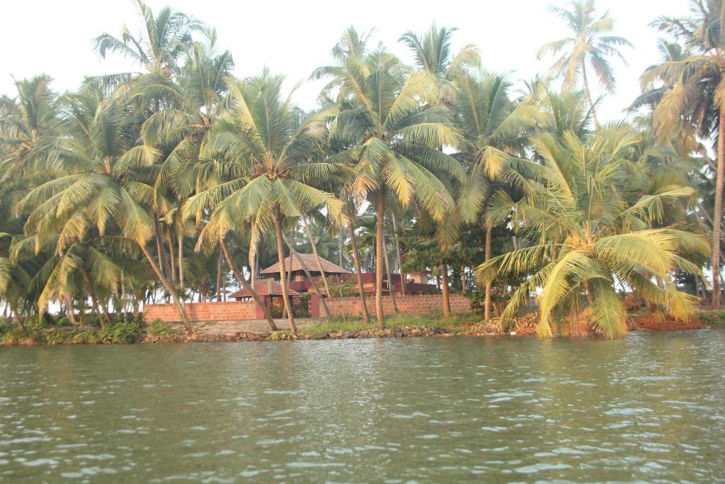 a group of palm trees on a body of water at Vretreat in Kokkānisseri