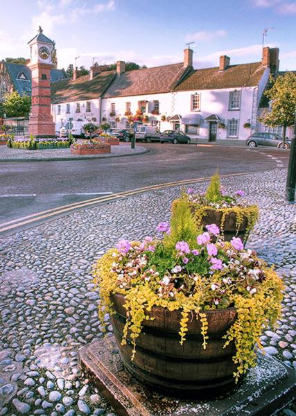 a pot of flowers on a street with a clock tower at The Castle Inn in Usk