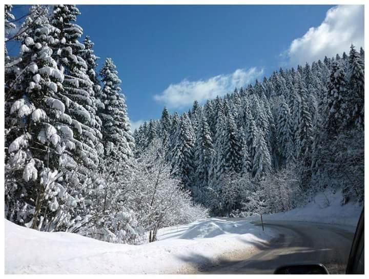 a snow covered forest with a road and a pine tree at Ljudina in Kupres