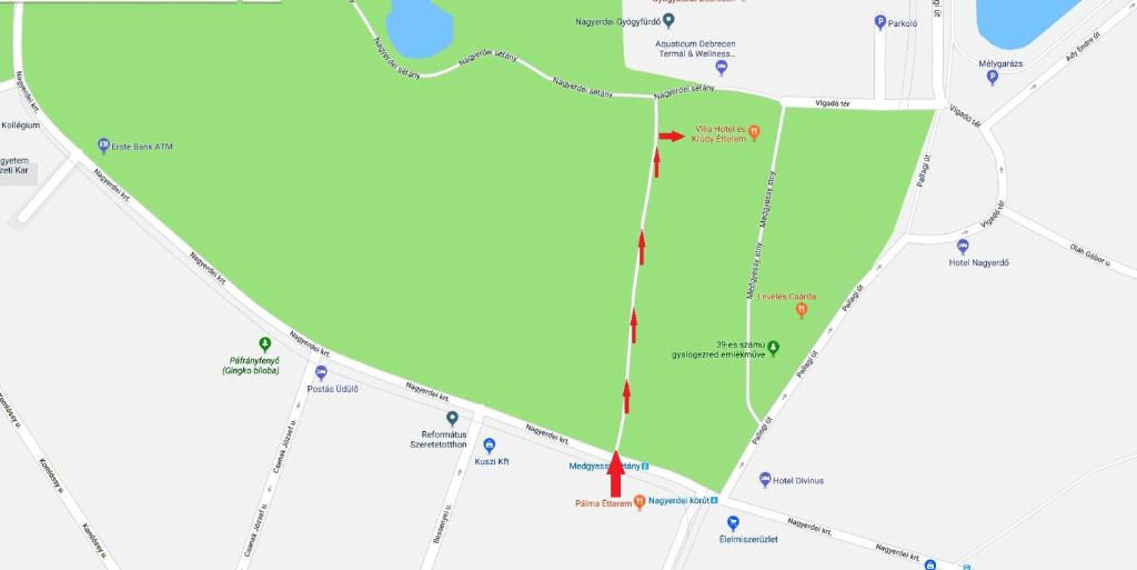 Villa Hotel - Resim 13