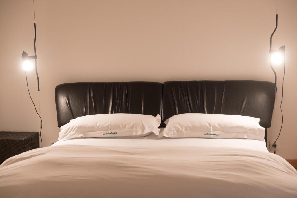 a bed with a black headboard and two white pillows at La Bribaudonnière in Saint-Palais-de-Phiolin