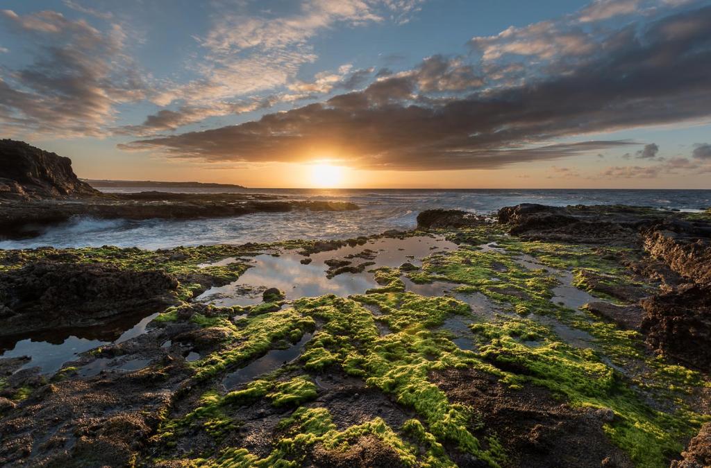 a sunset over the ocean with algae on the rocks at Fronton Whale Apartamentos in Gáldar