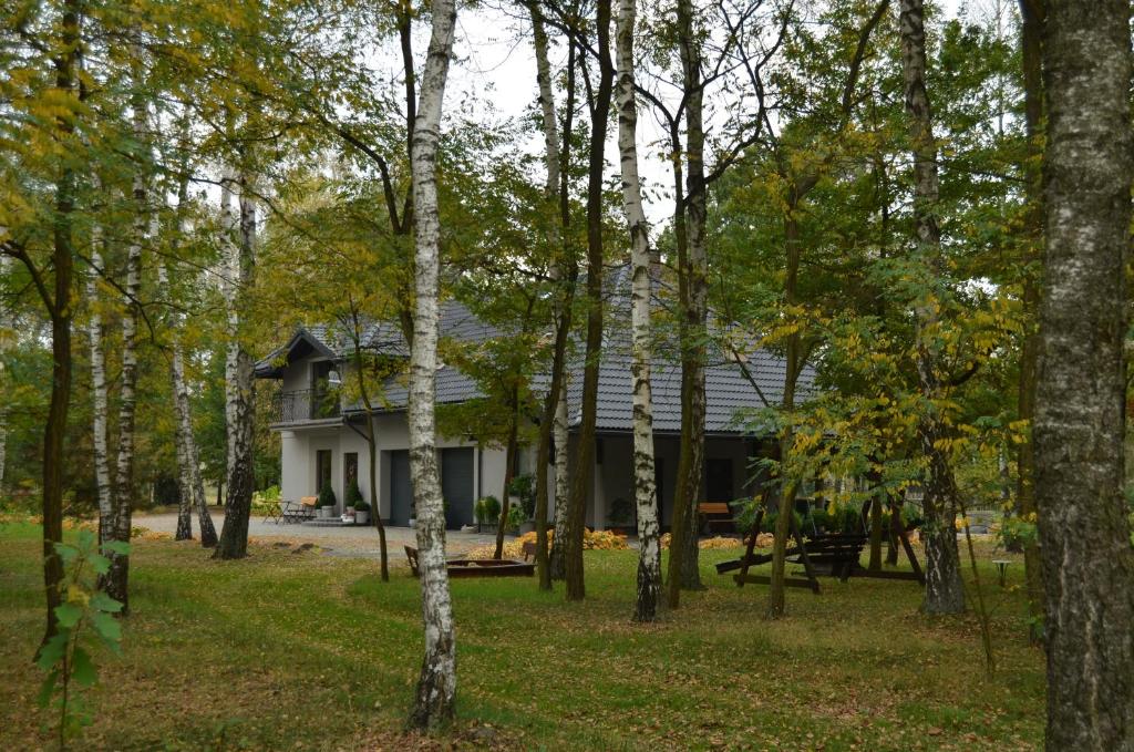 una casa en medio de un bosque de árboles en Zofijówka, en Osjaków