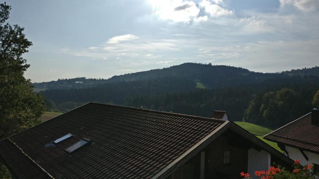 Příroda nedaleko apartmánu