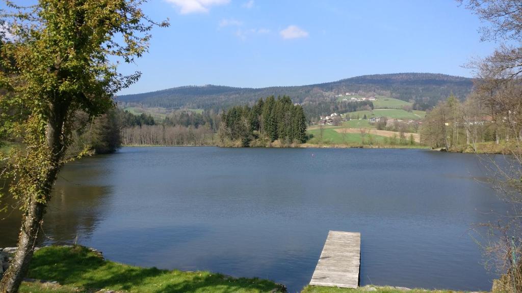 Příroda nedaleko apartmánu
