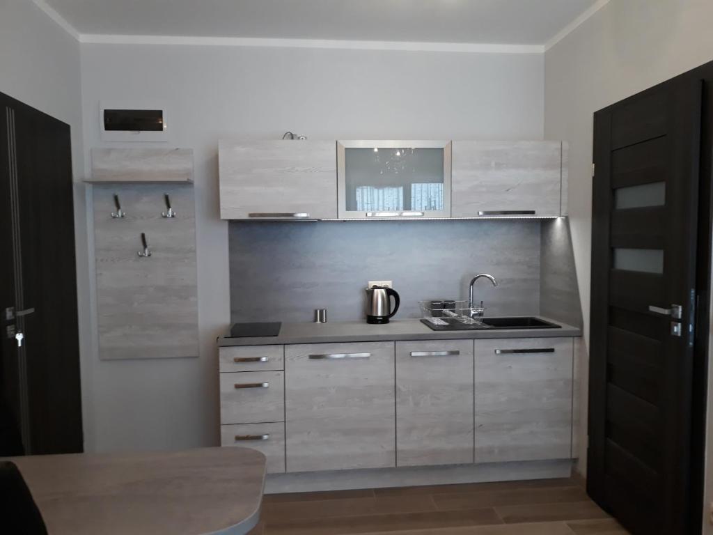 Kuchyňa alebo kuchynka v ubytovaní Apartamenty Pod Skrzycznem