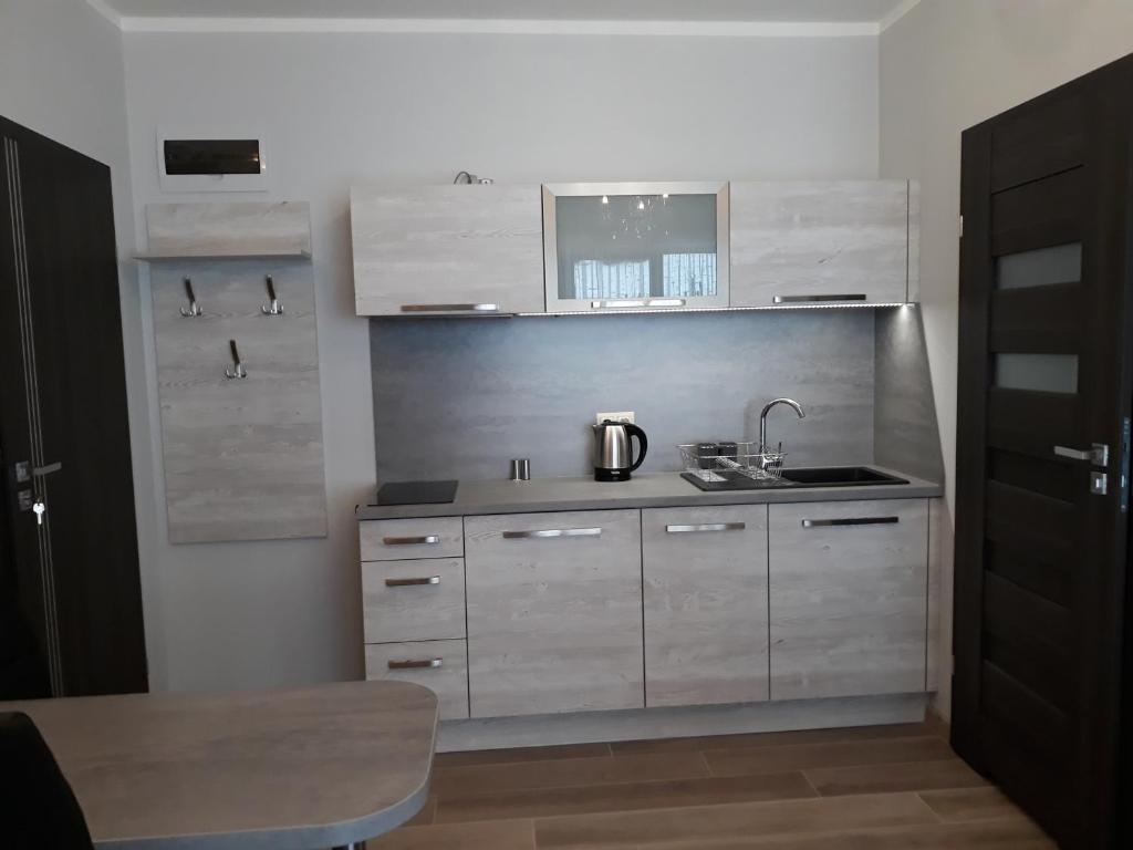 Kuchyňa alebo kuchynka v ubytovaní Apartamenty Pod Skrzycznem