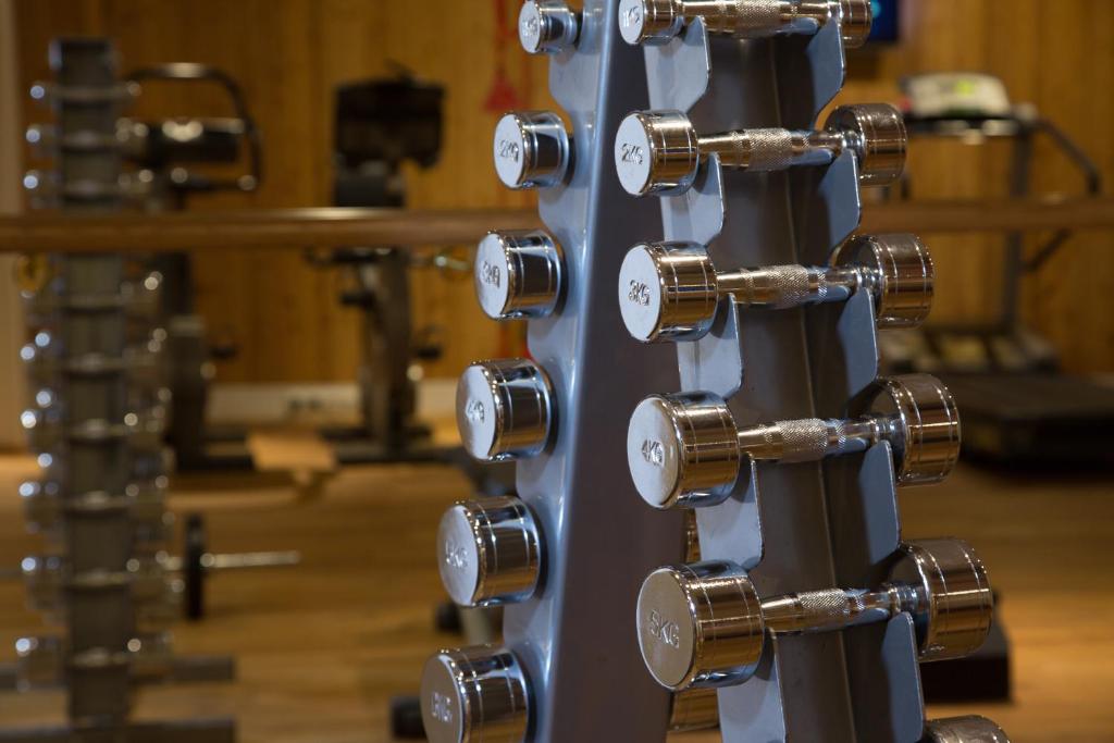 Fitness centrum a/nebo fitness zařízení v ubytování Hotel & Chalet Montana