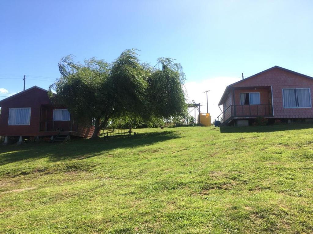 two cottages on a grass field with a tree at Cabaña Vista al Lago in Llanquihue