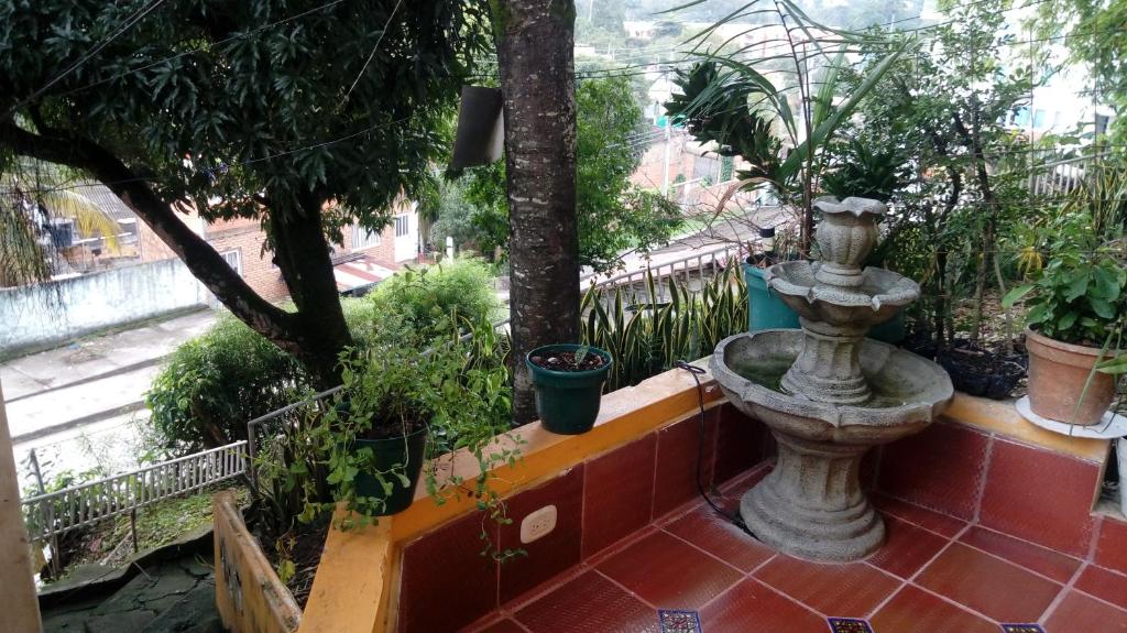 Zahrada ubytování Hospedaje Alto de San Luis - Vivienda Turística RNT-90280