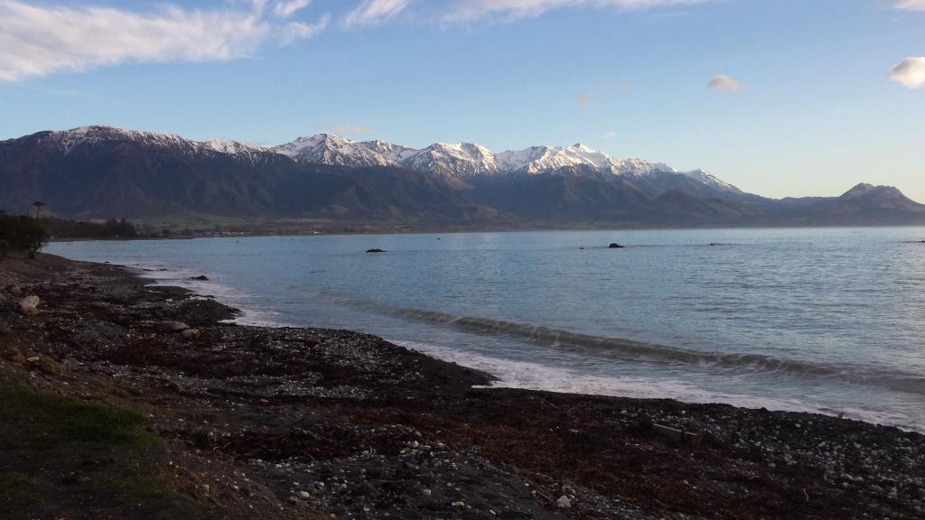 The Anchor Inn Beachfront Motel - Resim 31