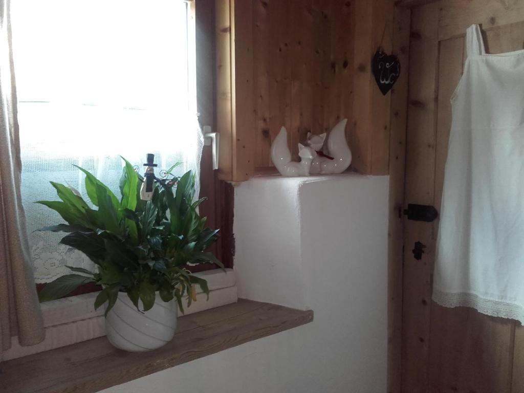 Foto sihtkohas Assling asuva majutusasutuse Bed & Breakfast Dolomiti Bey Haus Pinter galeriist