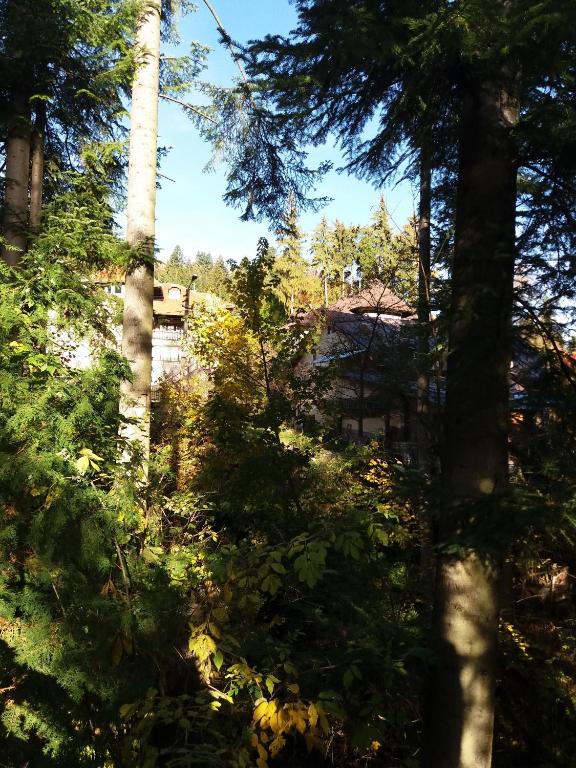 Casa Adriana Apartament