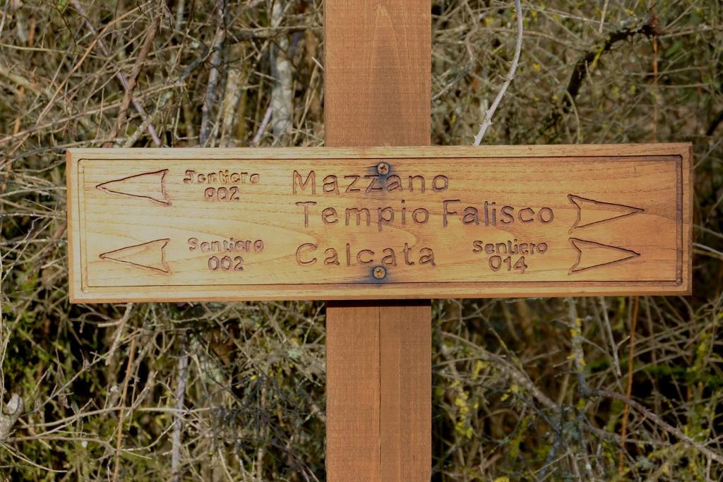 Zdjęcie z galerii obiektu casa Totò w mieście Mazzano Romano