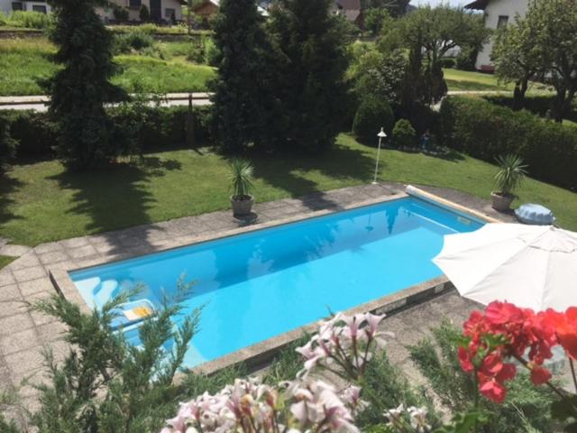 a large blue swimming pool with an umbrella at Haus Christof in Ledenitzen