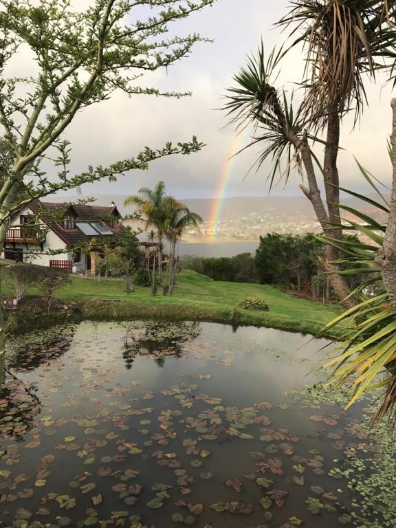 un arc-en-ciel au-dessus d'un étang planté de palmiers dans l'établissement Fish Eagle Lodge, à Knysna