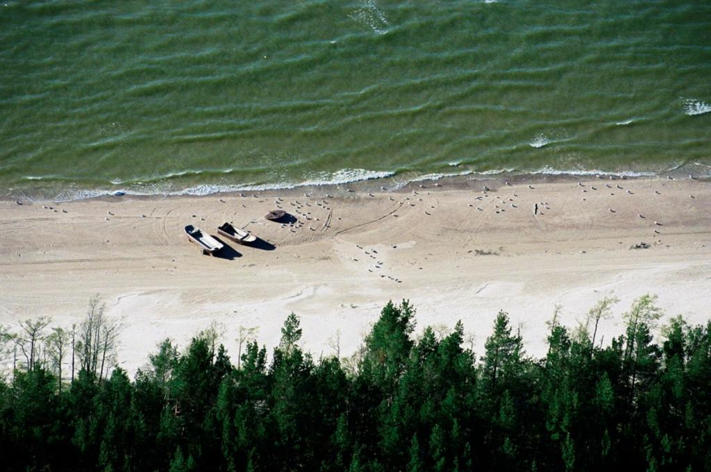 two cars parked on a beach next to the ocean at Miķeļbāka in Miķeļtornis