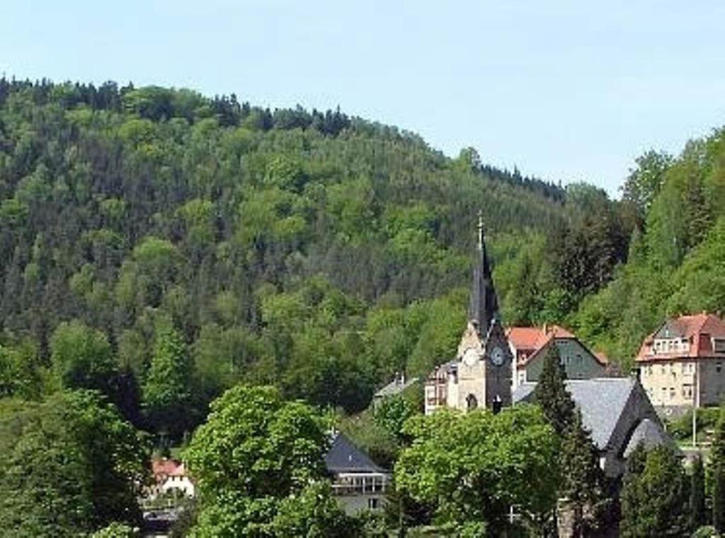 un edificio con una torre dell'orologio di fronte a una montagna di Ferienwohnung Villa AusZeit a Königstein