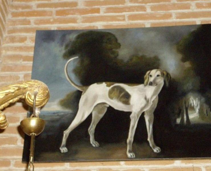 Domácí mazlíčci ubytovaní s hosty v ubytování Chateau de Thegra