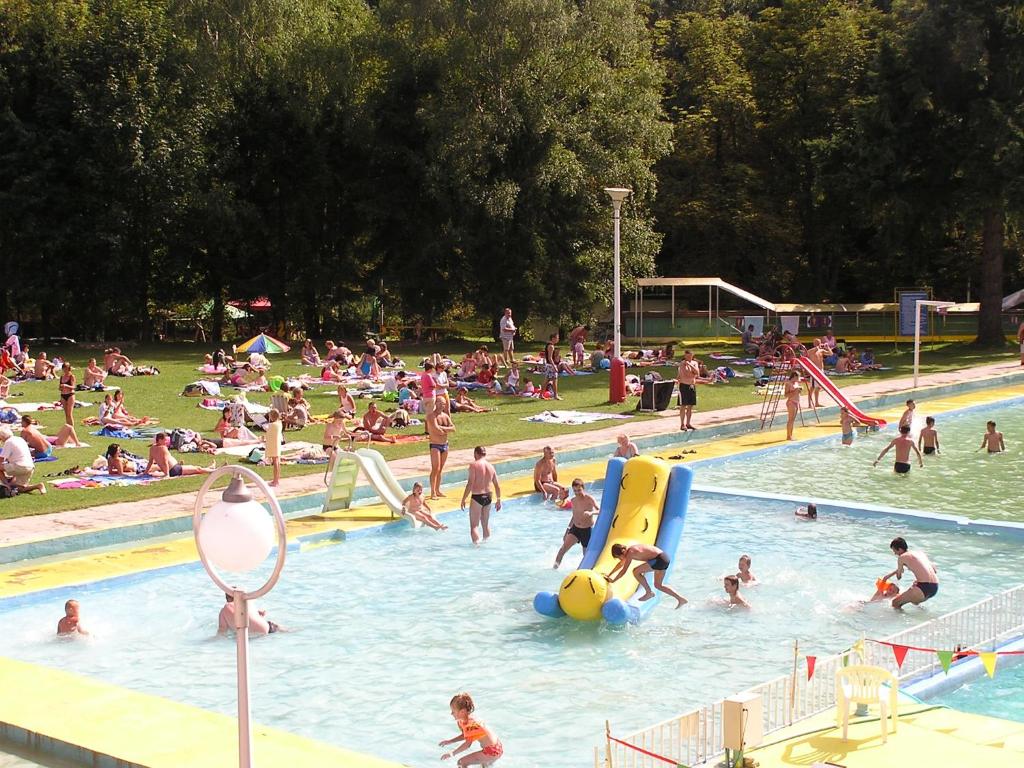 Bazén v ubytování Chata FORESTINA nebo v jeho okolí