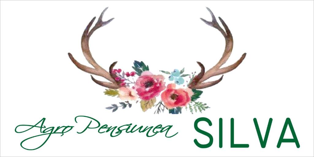 Fotografie z fotogalerie ubytování Pensiunea Silva v destinaci Luncaviţa
