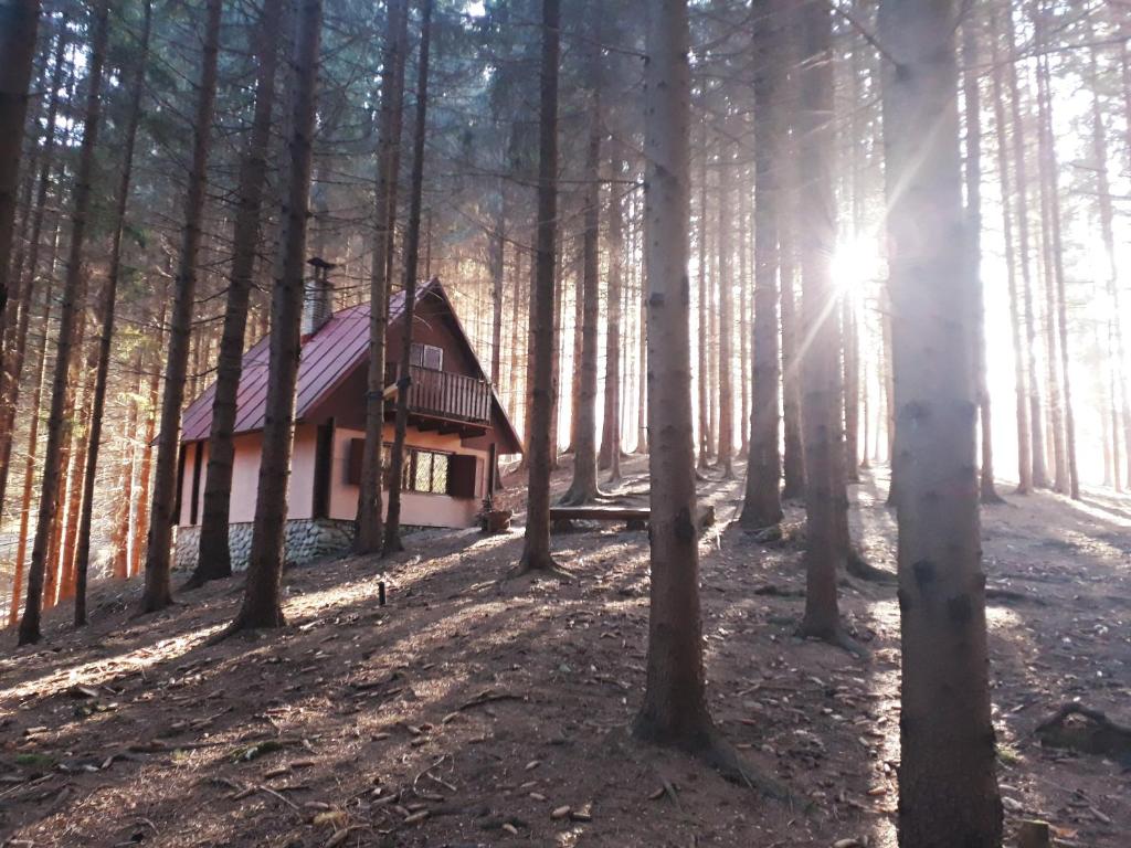 a cabin in the woods with the sun shining through the trees at Chata Adavy in Liptovský Ján