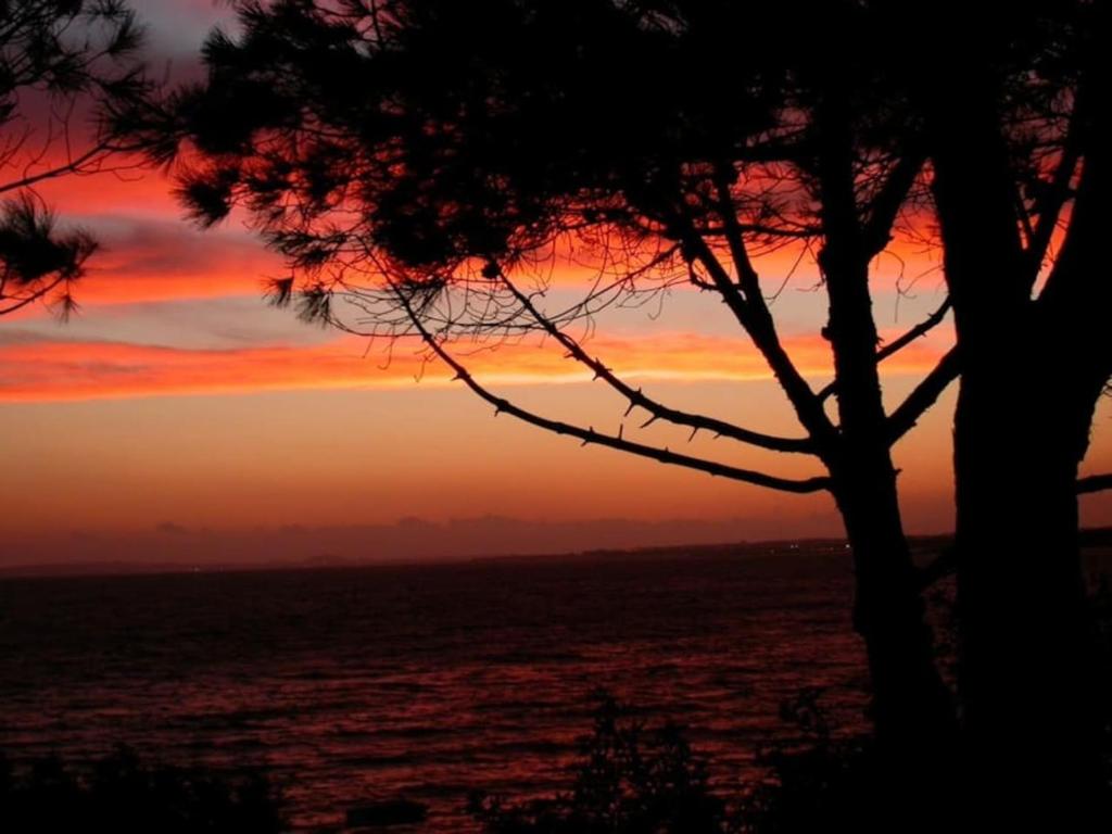 una puesta de sol con un árbol en primer plano en Sardinia Mon Amour, en Geremèas