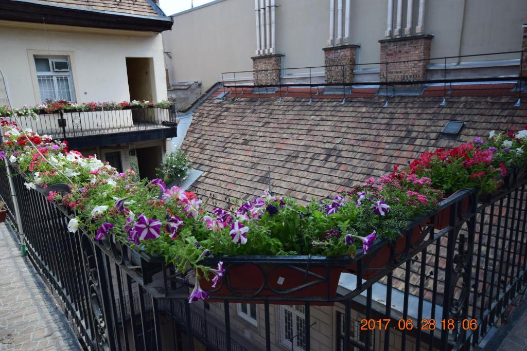 Fotografia z galérie ubytovania Eitans Guesthouse v Budapešti