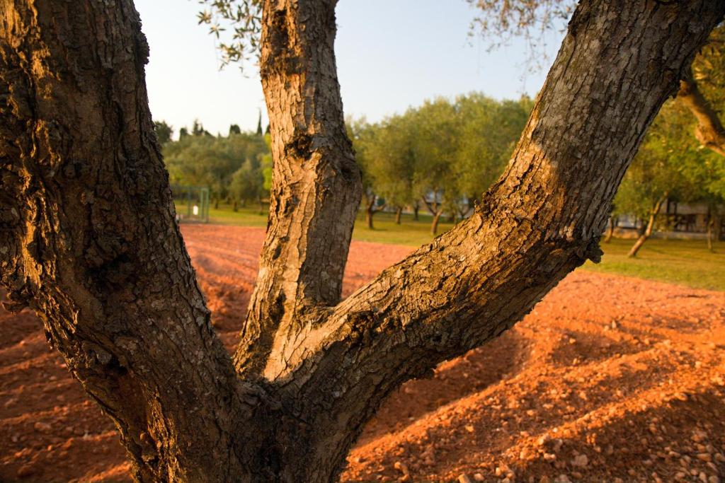 Fotografie z fotogalerie ubytování Agriturismo Terra Rossa v destinaci Otranto