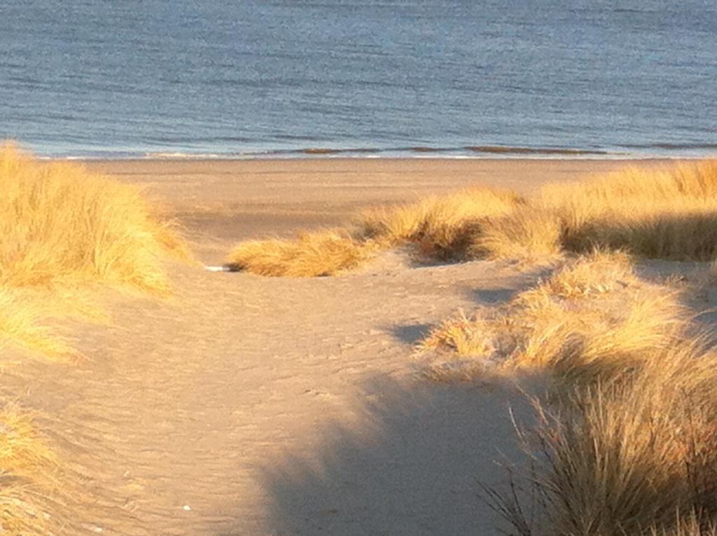 einen Sandstrand mit hoher Wiese und Meer in der Unterkunft Privates Domizil auf Sylt in Strandnähe in Westerland
