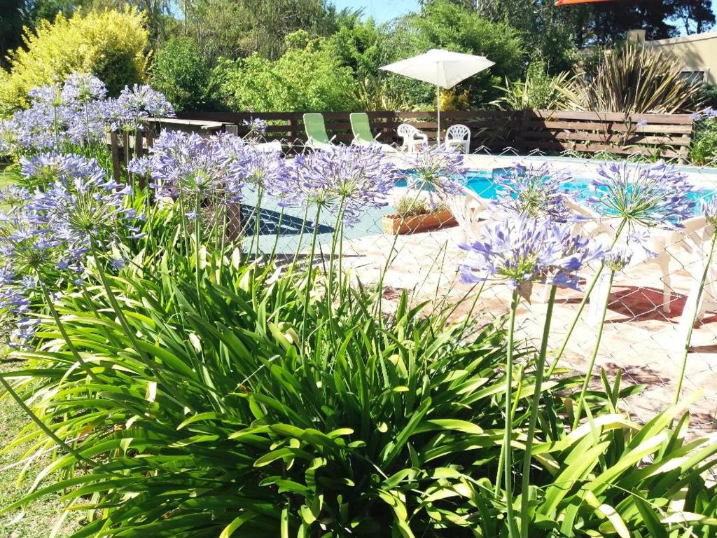 a garden with purple flowers and a swimming pool at Cabañas Los Aromos in Tandil