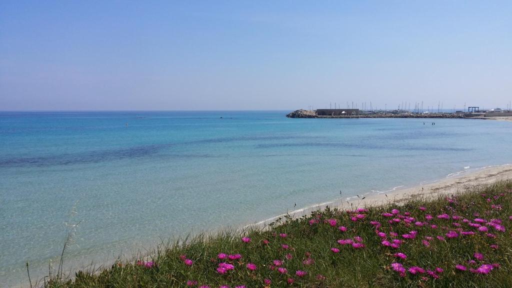 a field of pink flowers on the beach at casa azzurra in San Foca