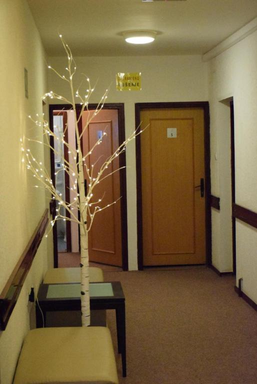 Fotografie z fotogalerie ubytování Guesthouse Babin Zub v destinaci Crni Vrh