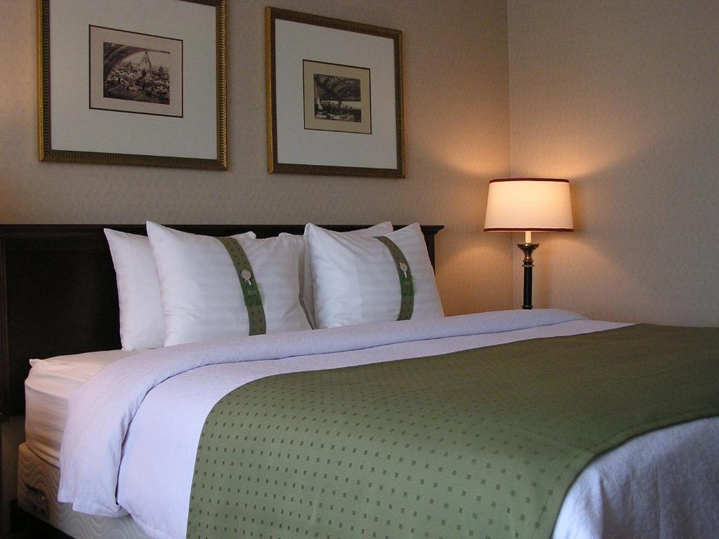 Holiday Inn Budd Lake - Rockaway Area, an IHG Hotel - Suite King Avec Canapé-Lit - Non-Fumeurs