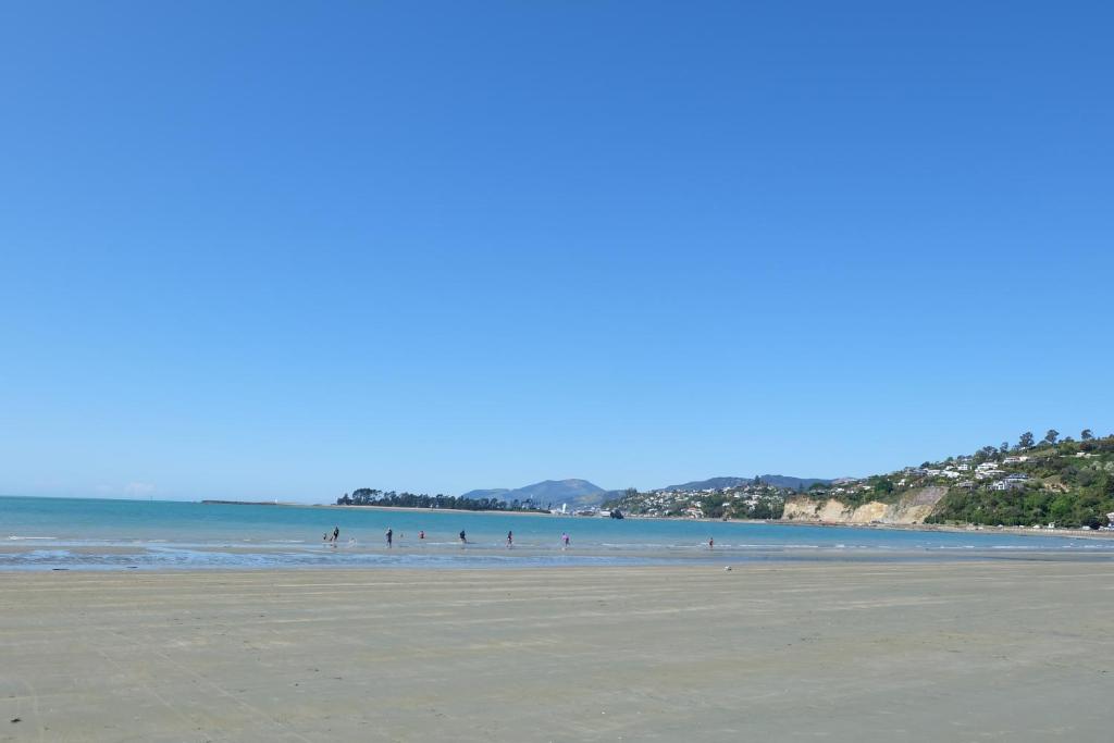 Castles Motel & Driftwood Motel - Resim 9